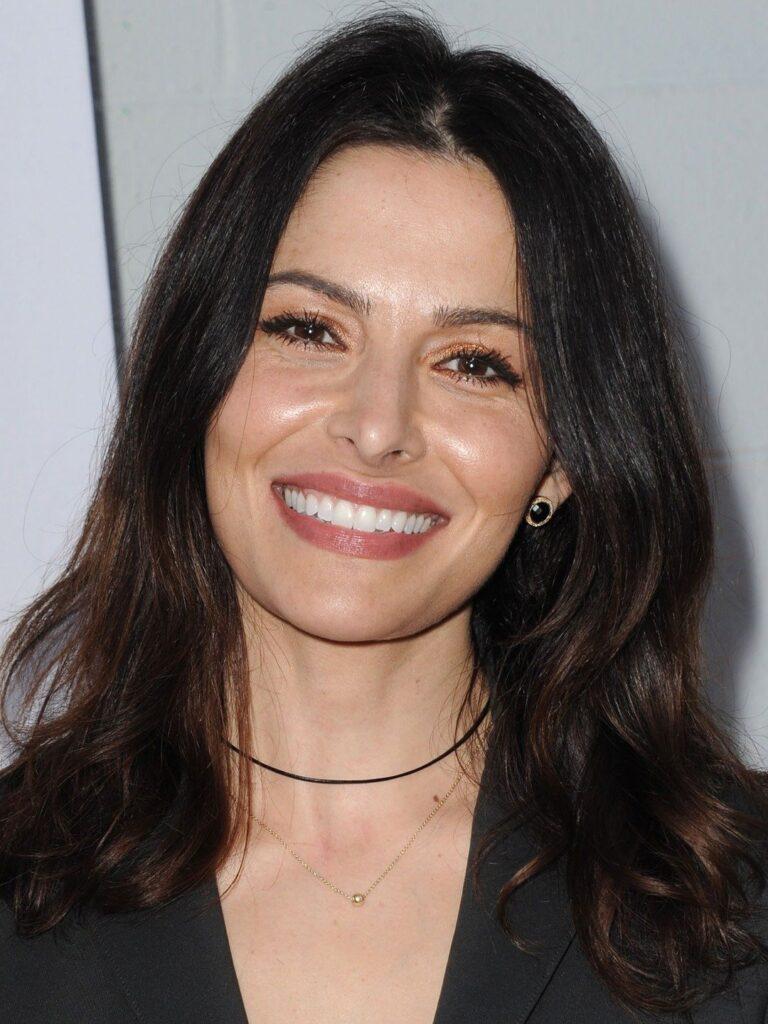 Sarah Shahi First Pitch, Wikipedia, Wiki, What Happened, Photos