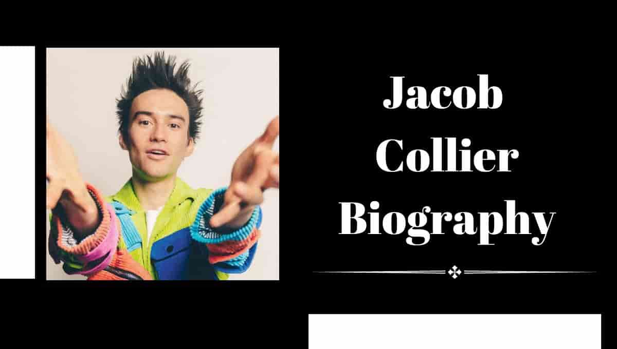 Jacob Collier Ethnicity, Wikipedia, Wiki, Hollywood Bowl, Age, Setlist, Partner