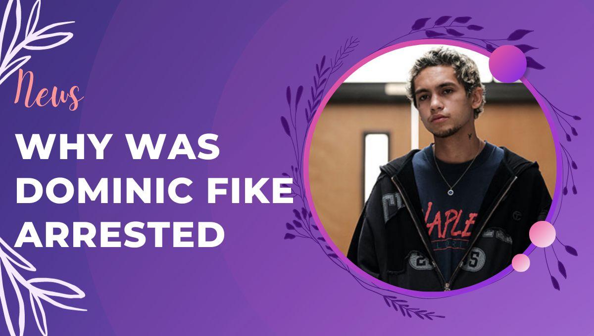 Why was Dominic Fike arrested, Prison, Detrot, Birthday