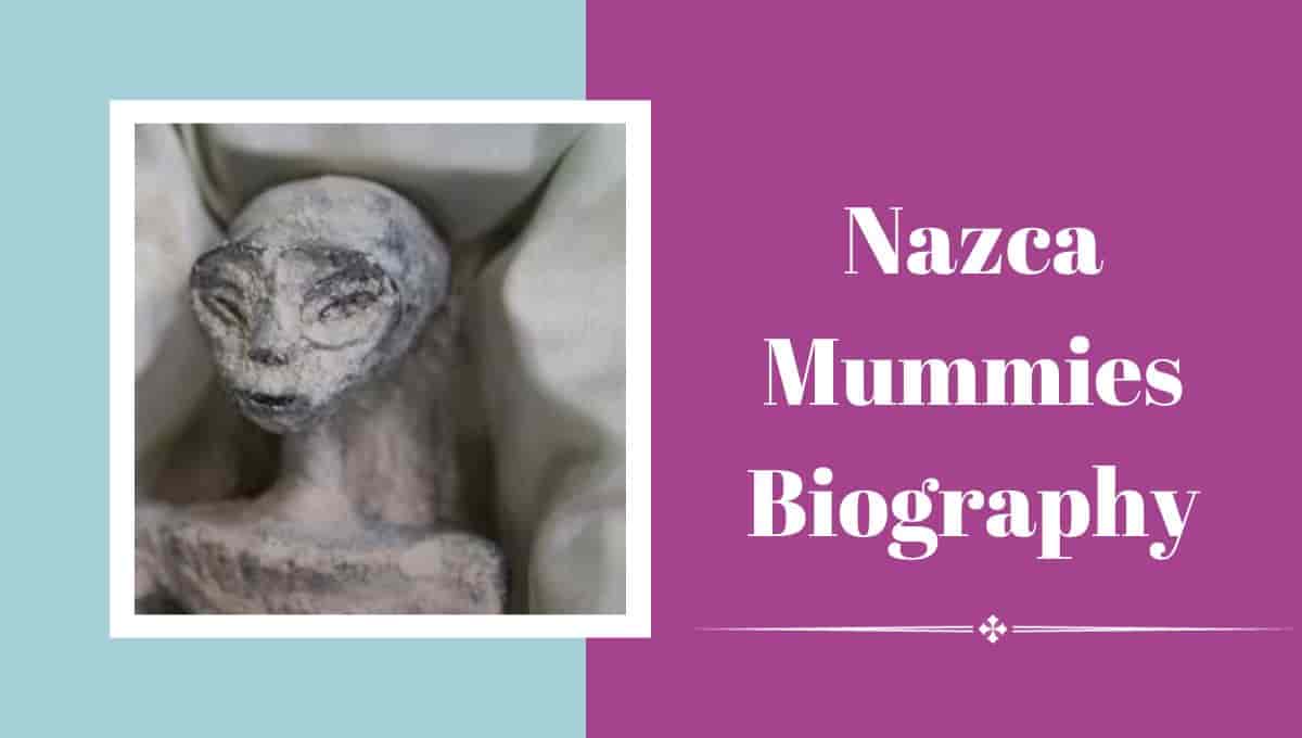 Nazca Mummies Wiki, Wikipedia, Reddit, Hoax