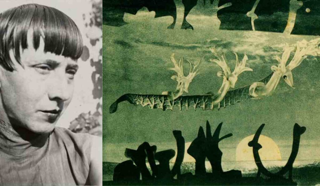 Biography of Hannah Hoch - A Pioneer in Art and Gender Expression